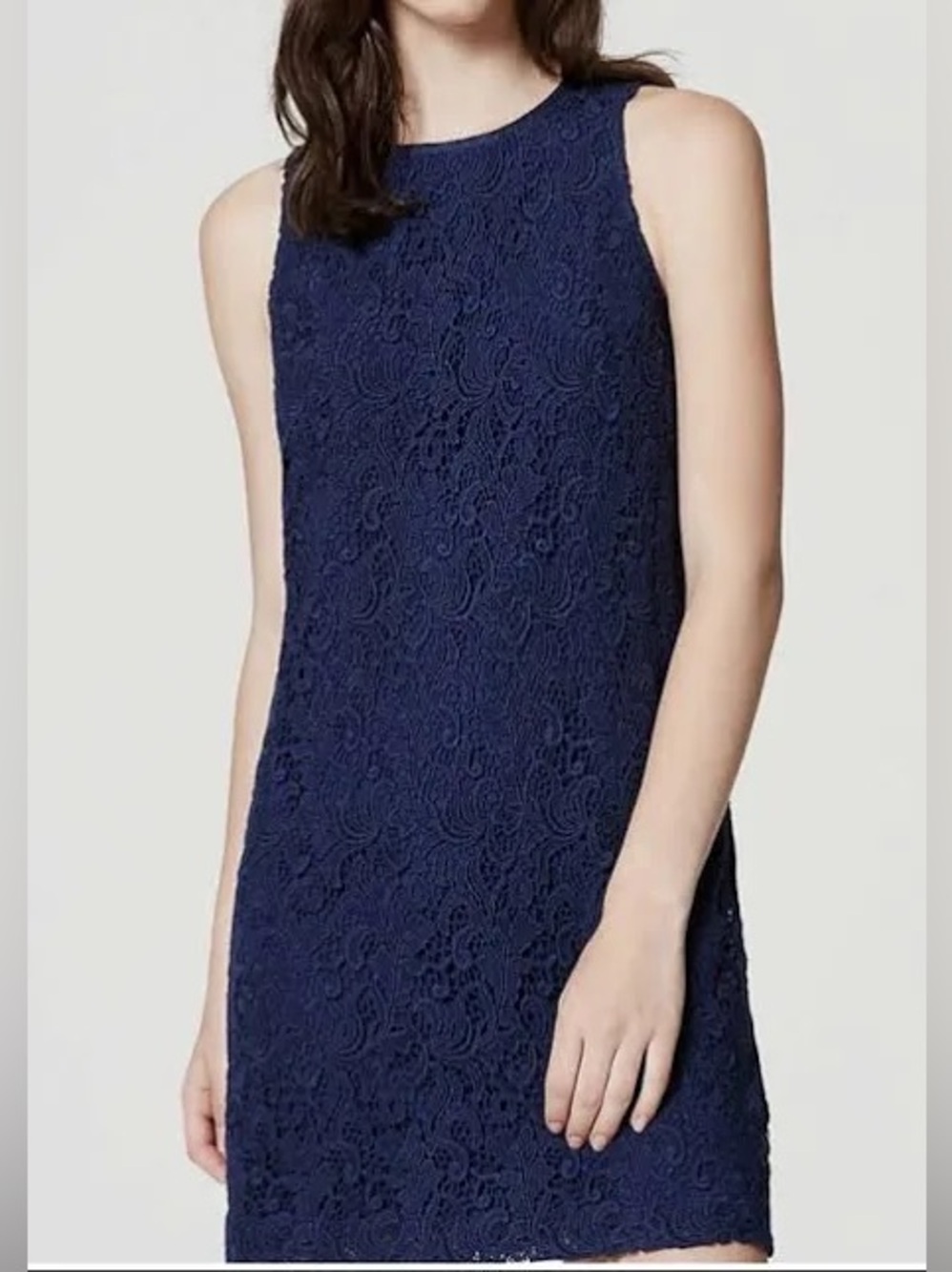 NWT LOFT Navy Floral Lace Sleeveless Dress